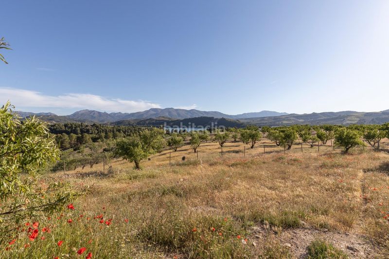 Foto a404c300-2a94-456f-8750-f406417746ea. Casale in calle gr-3307 in Arenas del Rey