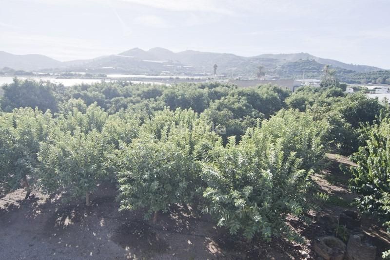 Foto 93ea9874-2ba8-4b6e-ae33-bb3a8fe862c6. Rural plot in Motril ciudad Motril