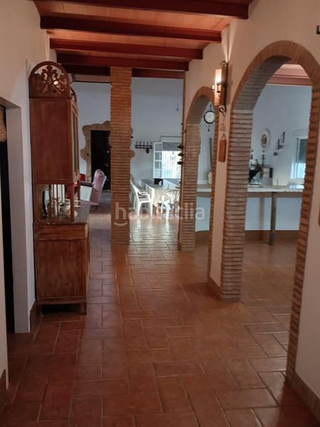 Foto 523af081-faaa-4142-9122-5bb3f72ffeae. Terreno residenziale in Moguer