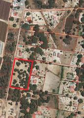 Terreno residenziale in Bonares