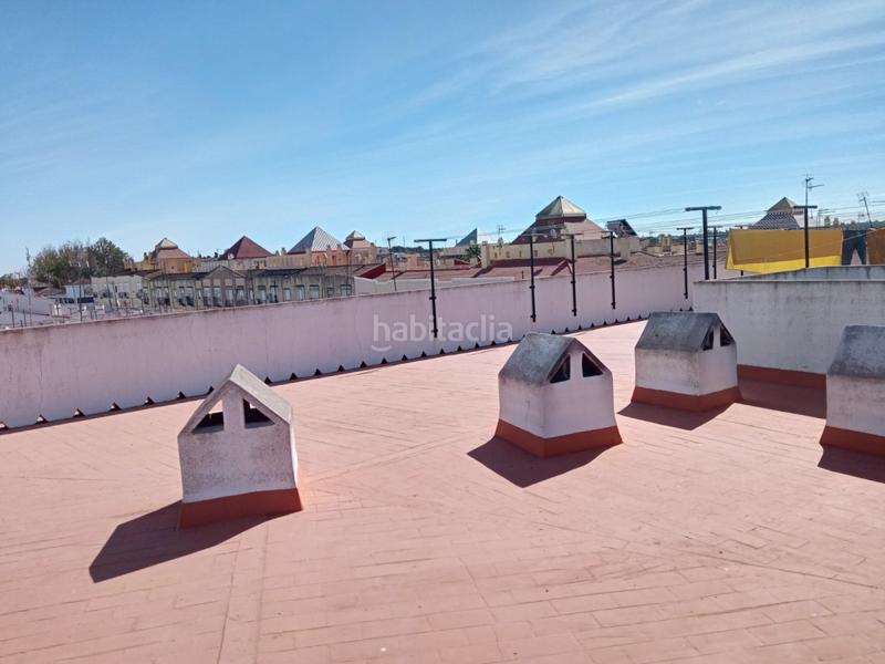 Foto 976fdf35-c436-490d-a2a3-57a8626a2278. Pis a Moguer