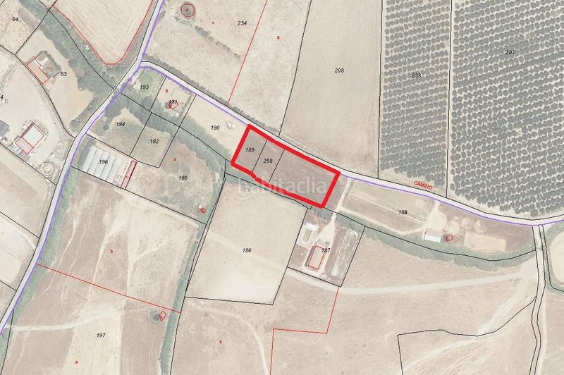 Foto a878e6b6-d1e3-4112-9cf9-79dbaa64f679. Finca rústica a Moguer