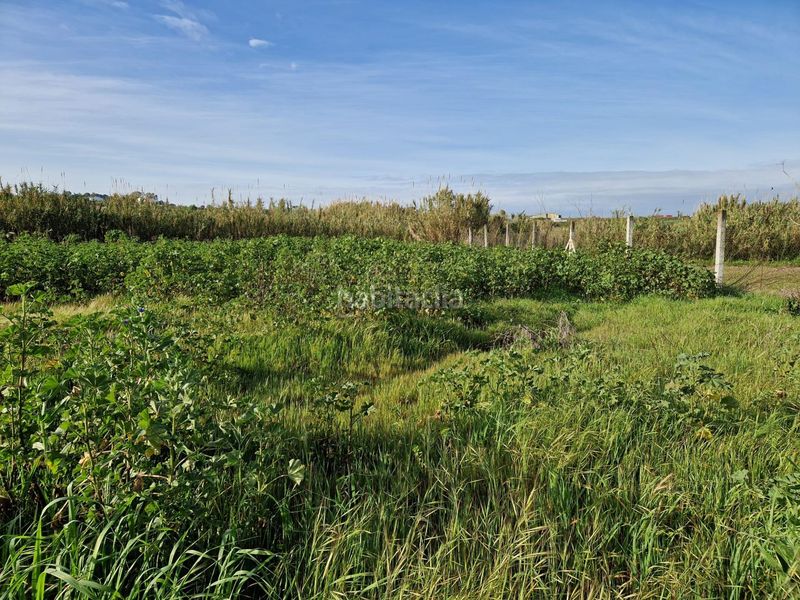 Foto c86cc2f0-987c-450e-be56-096a218f7490. Finca rústica a Moguer