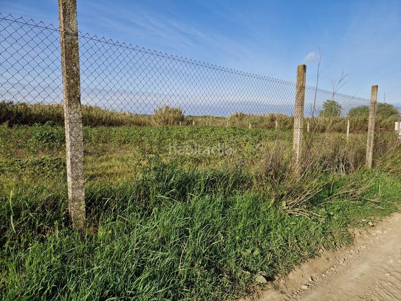 Foto d4d7a49e-2678-4a87-8d0b-738b3a0f7fcb. Finca rústica a Moguer