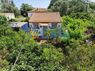 House in Trigueros. Finca rústica con casa, piscina y 70 olivos en los palmares  tri
