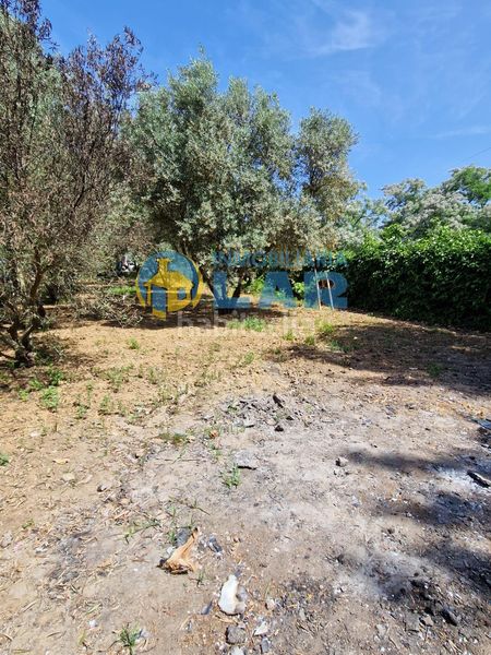 Foto 2e51c897-f902-45b4-a070-dd3496828845. Casa a Trigueros