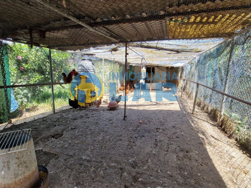 Foto ac057b47-5ea2-4203-9fdb-468255159fa9. Casa a Trigueros