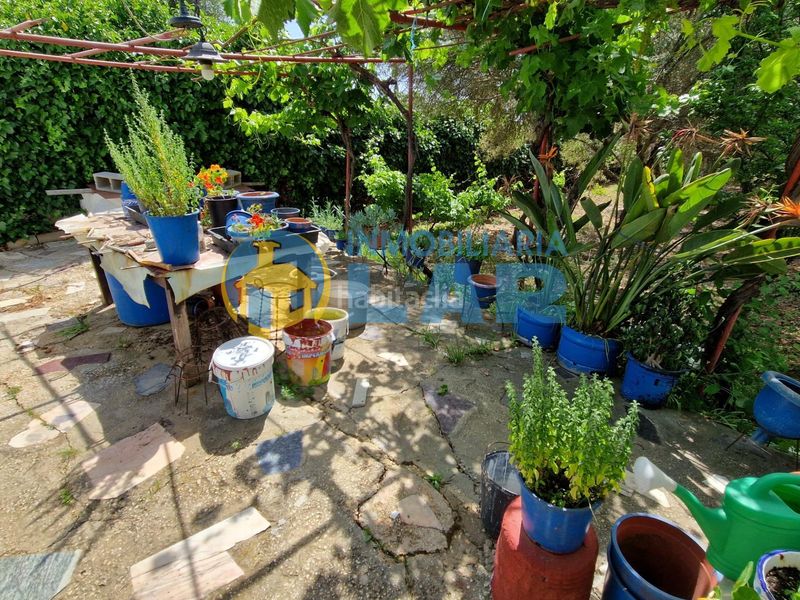 Foto b04976e2-05b7-4b3f-8dcc-ce5312610a31. Casa a Trigueros