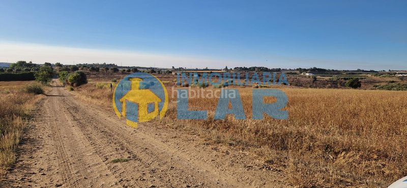 Foto 5bd67e83-d08c-4679-b710-b34ec9b8cd90. Finca rústica a Moguer