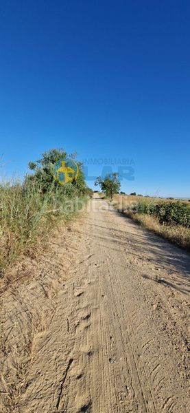 Foto c1c796e1-4d03-4f93-b0c9-f0effbd5c99d. Finca rústica a Moguer