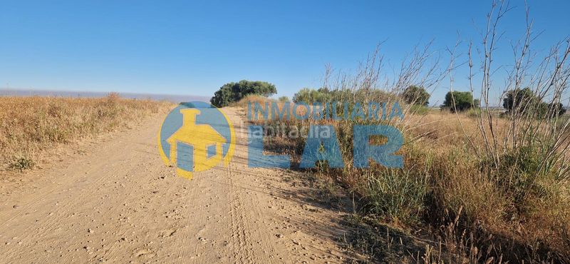Foto ccdb9bd9-5f56-45c7-ae15-54eb8441abee. Finca rústica a Moguer