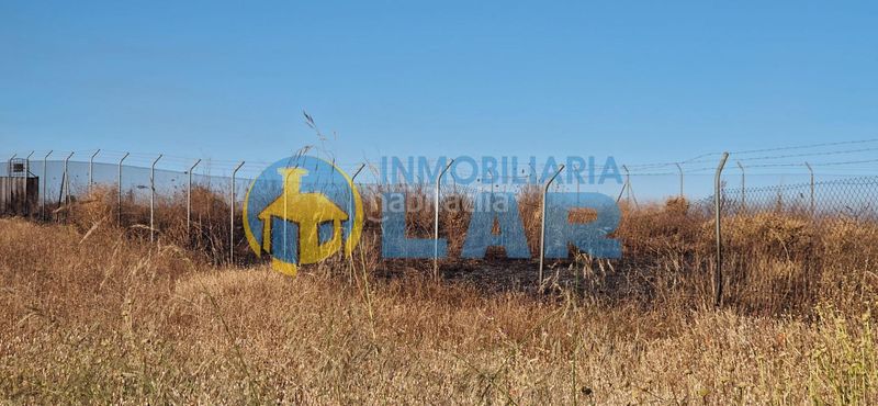 Foto ce2a979a-876f-401e-b49f-26e88023b1ed. Finca rústica a Moguer