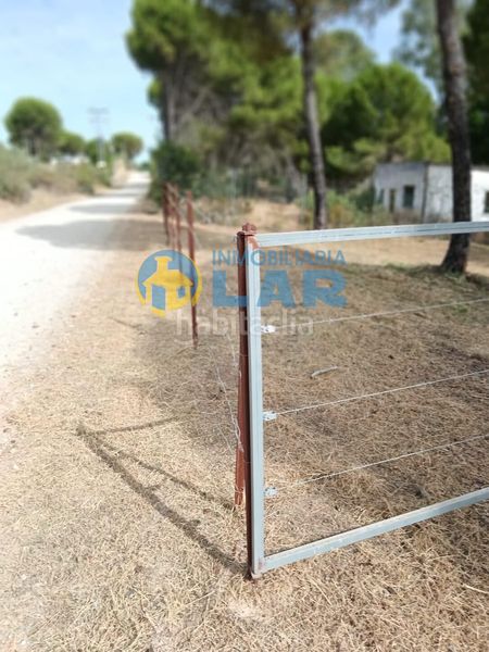 Foto 90b524f0-b1a0-460e-8d67-ee314d31adbe. Finca rústica a Hinojos