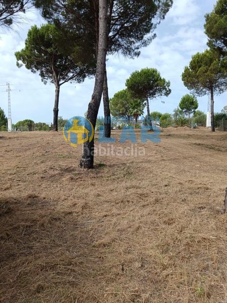 Foto c935e831-7e76-4e4f-bd39-892149d2859e. Finca rústica a Hinojos