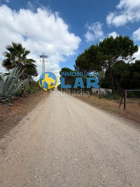 Foto 40a06ace-35fc-436b-b8d3-f54886327b2a. Finca rústica a Hinojos