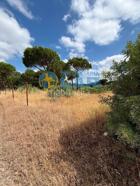 Foto 7e0fc840-8ac1-4366-b02f-6eedf8d58775. Finca rústica a Hinojos