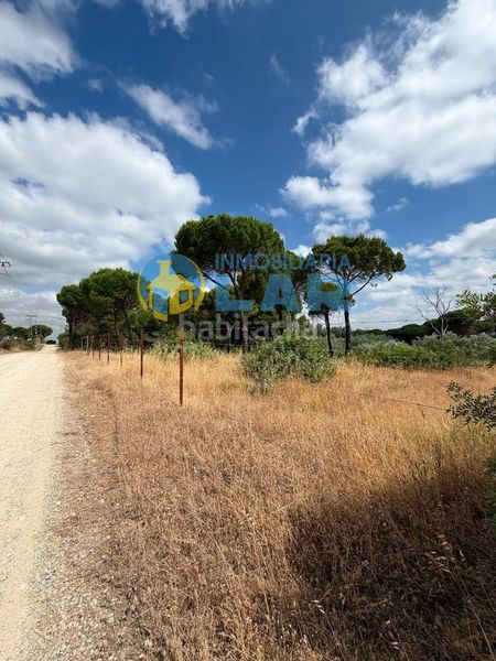 Foto 92b2a8e5-b64d-4c5c-858d-11be48f80943. Finca rústica a Hinojos