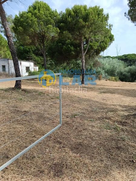 Foto fca72ccd-c3a8-44b7-b058-272a10712263. Finca rústica a Hinojos