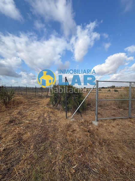 Foto 0d343751-f2e9-41e1-917e-b7b22cdabf76. Finca rústica parcela rústica de 3477 m2 en Niebla