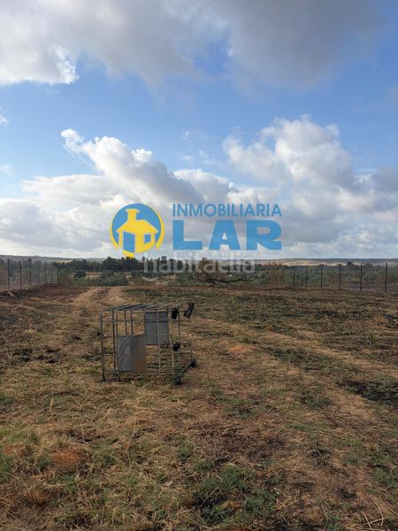 Foto b473e554-4c52-4d94-9f03-9730ed7568a3. Finca rústica parcela rústica de 3477 m2 en Niebla