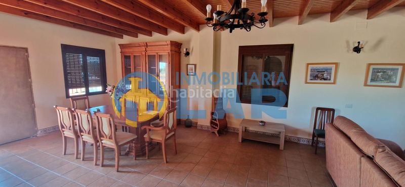 Foto bccda384-29d3-40d2-8389-a174e1aa3be0. Mas dans Niebla