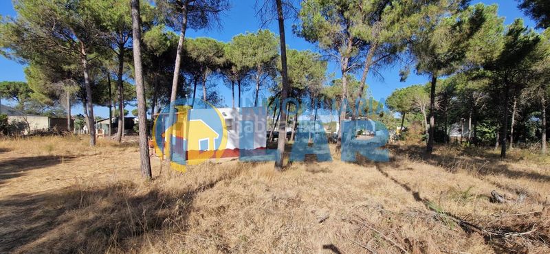 Foto 15d22e42-d033-44e4-a803-d3031ba8656b. Finca rústica a Moguer