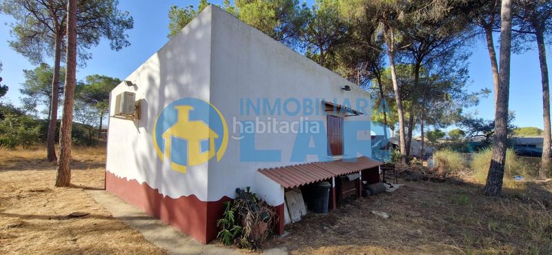 Foto 5619f381-7257-4f36-b2bb-a07c2d2d1429. Finca rústica a Moguer