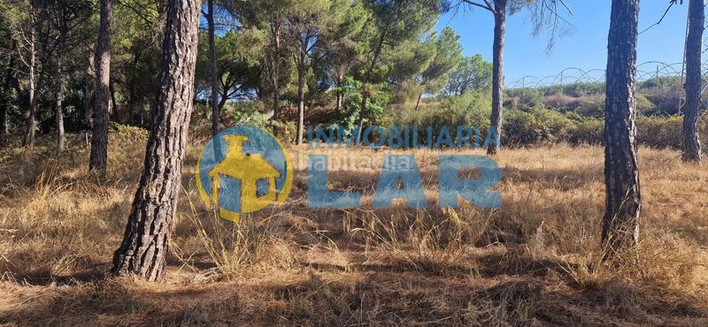 Foto a0a4c2f0-ed3b-4a86-bb03-4b408b8459a5. Finca rústica a Moguer