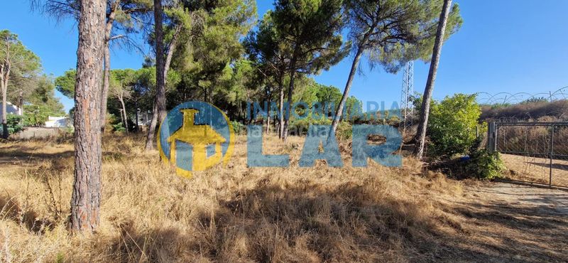 Foto ae86bf4f-c9ef-470d-836a-dbaa03891792. Finca rústica a Moguer