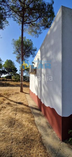 Foto cd6e7694-909e-405c-8c0f-49e1b881fb18. Finca rústica a Moguer