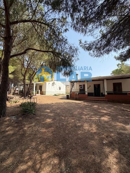 Foto 476240d5-c68d-4e32-90eb-38cd51aaa29f. Bauernhof in Moguer