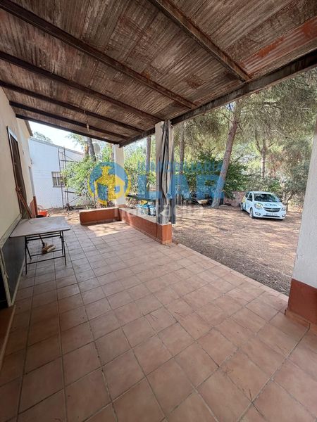 Foto db64e5c5-3454-4af1-bf65-c01aabae2786. Bauernhof in Moguer