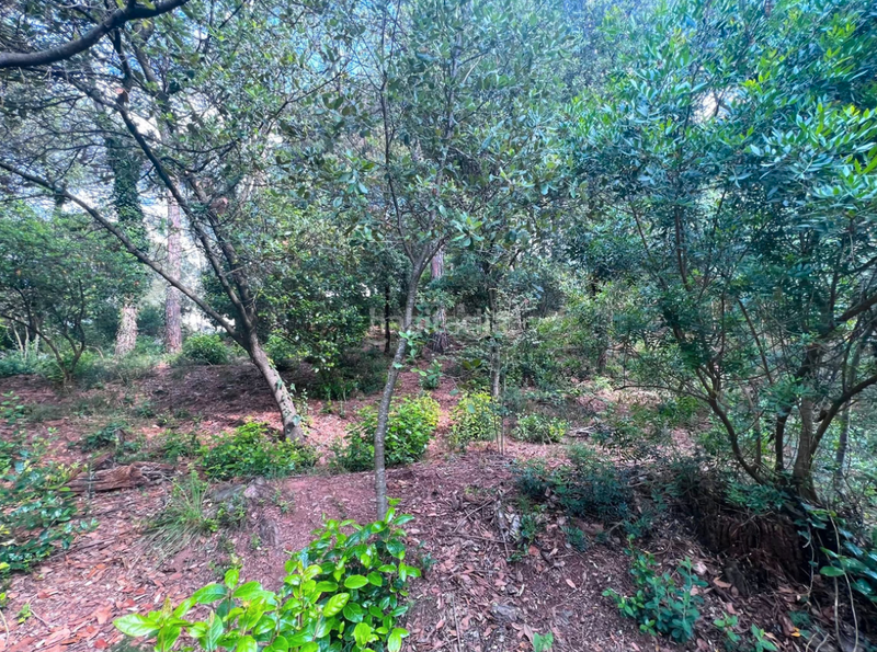 Foto 43d2aeb5-9b56-468d-a0ae-bb51eb94f655. Terrain résidentiel dans Vacarisses