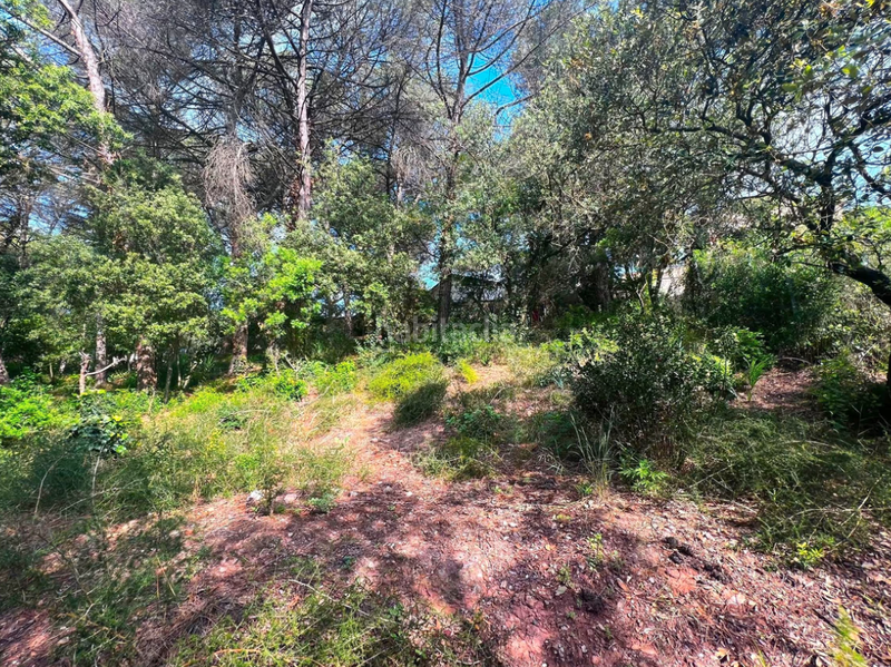 Foto e2180938-c498-4267-9bbc-206c631beb6a. Terrain résidentiel dans Vacarisses