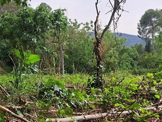 Residential Plot in Vacarisses