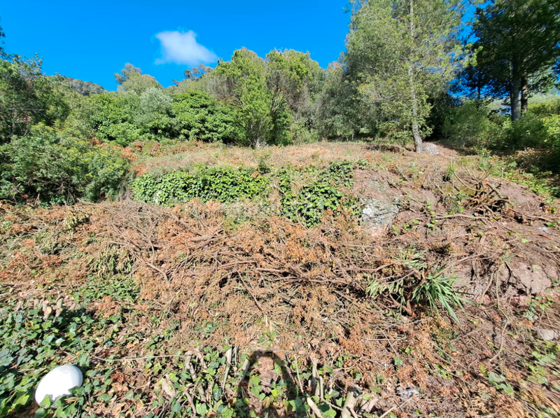 Foto 1233e729-6046-4740-94e5-d342425b7067. Terrain résidentiel dans Vacarisses