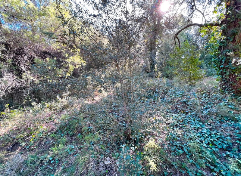 Foto c731d277-01d0-47da-a18c-a1d566fc3ce3. Terrain résidentiel dans Vacarisses