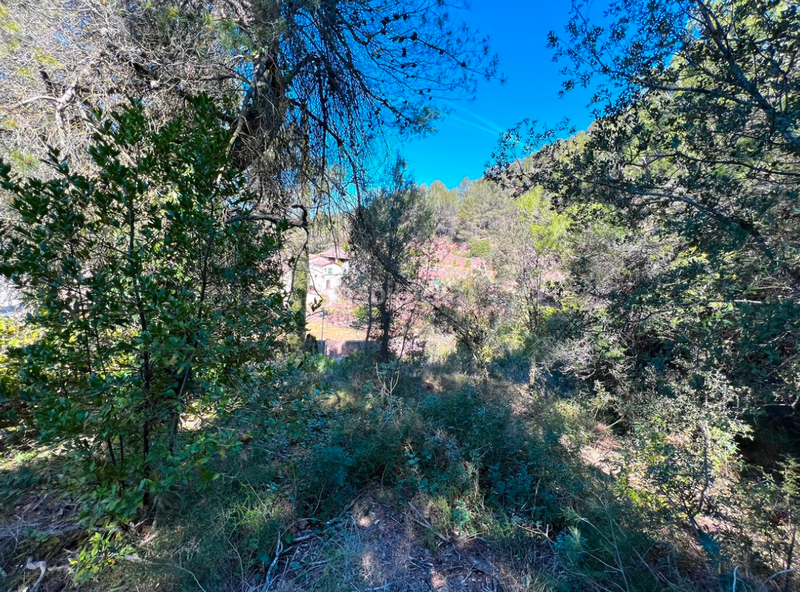 Foto ec9cf6bc-71e5-4285-a9e4-d722edb447b8. Terrain résidentiel dans Vacarisses