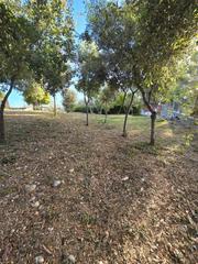 Terreno residenziale in Carrer de Cardedeu 42