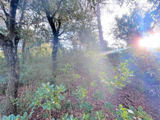 Residential Plot in Carrer torrent del llort 35