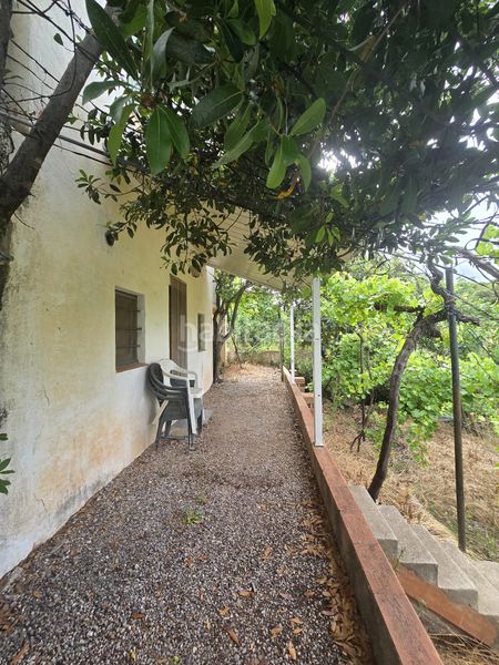 Foto 3379e3e2-5359-4005-9e69-6b01e3e1697f. Finca rústica terreno mas edificación en Vacarisses