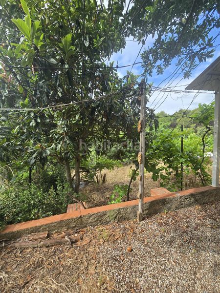 Foto 36ed4e52-ba6a-4de0-a23b-1bd3953bde6f. Finca rústica terreno mas edificación en Vacarisses