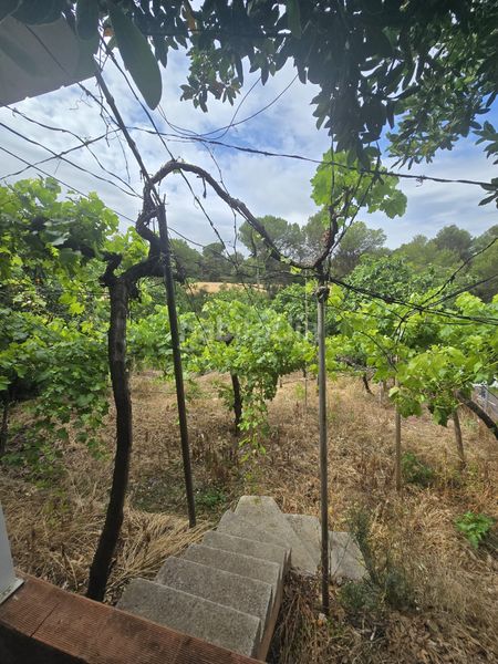 Foto 67e8f9f8-b545-4cc0-9f00-41905e5078a1. Finca rústica terreno mas edificación en Vacarisses