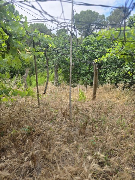 Foto d33257f3-3c5f-433c-bdae-8514120f9c4d. Finca rústica terreno mas edificación en Vacarisses