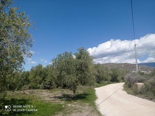 Rural plot  El vinar