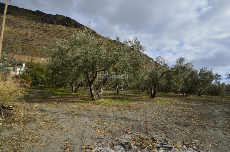 Foto 4e960e06-6033-4b33-a248-3ec0b52b1b28. Masia a Gérgal