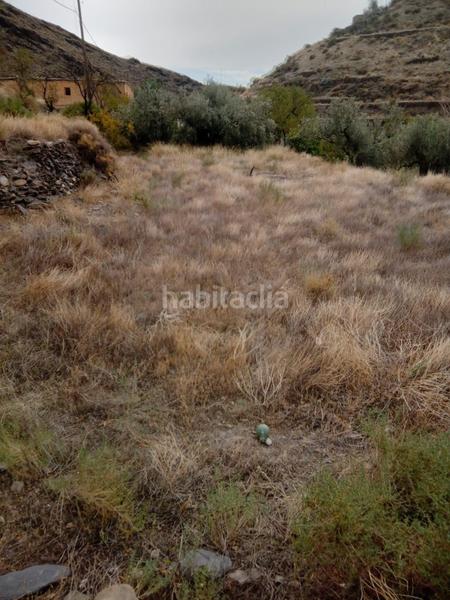 Foto fae00a49-0f26-46e2-b308-2305d2bac1a4. Masía en Gérgal