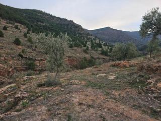 Terrain résidentiel à Fondón. Finca en fondon