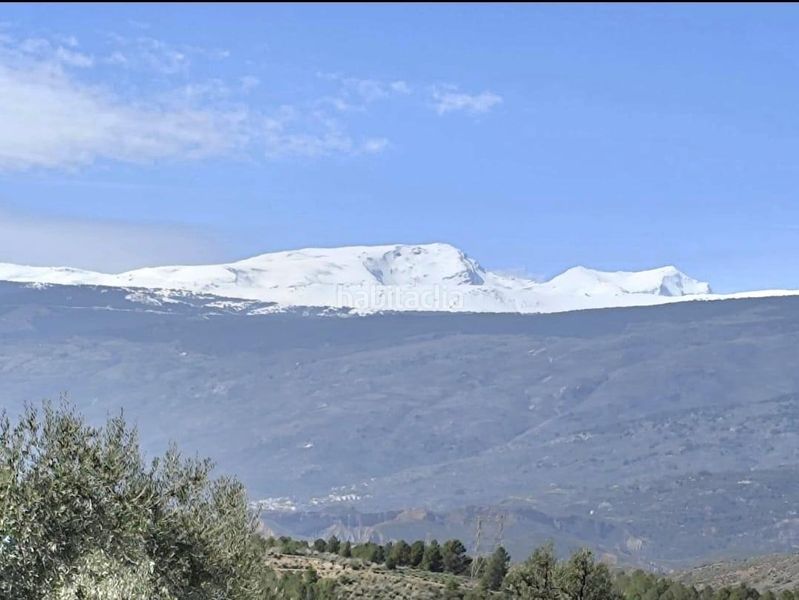 Foto 8fa5fe66-b9f7-4a5e-b831-7e954522be26. Casa a carretera 21 a Alcolea