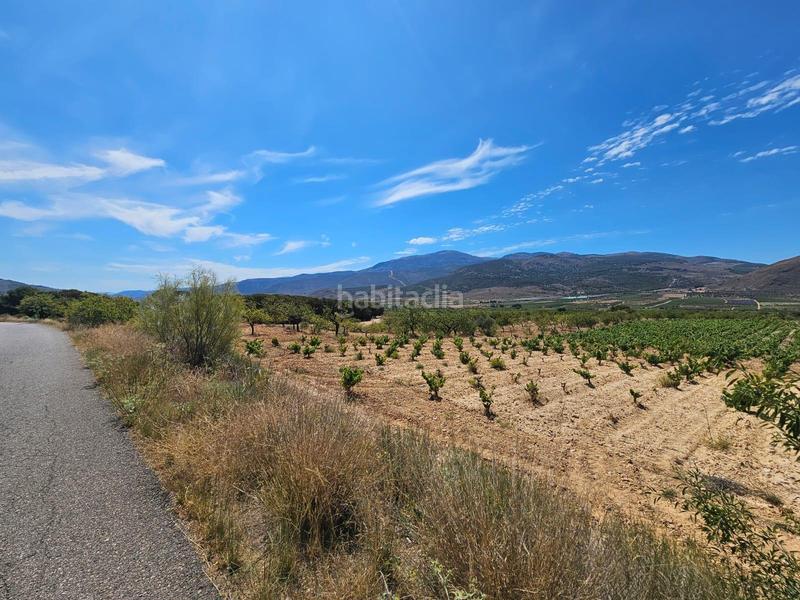 Foto 262d8ab0-b195-4754-88a5-32ffc72a7517. Masía en carretera guarros finca en llano de laujar de andarax en Láujar de Andarax